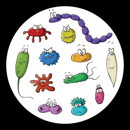 insetti, microscopio, melma, virus Dedmazay - Dreamstime