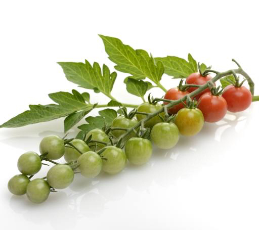 frutta, verdura, pomodori, pomodoro, verde, rosso, foglie, cibo Svetlana Foote (Saddako123)