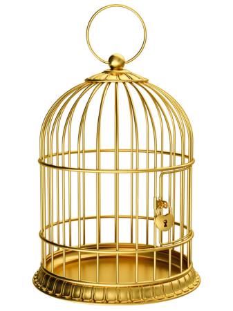 uccello, gabbia, oro, serratura Ayvan - Dreamstime