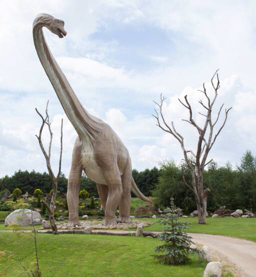 dinosauro, parco, albero, alberi, animali Caesarone