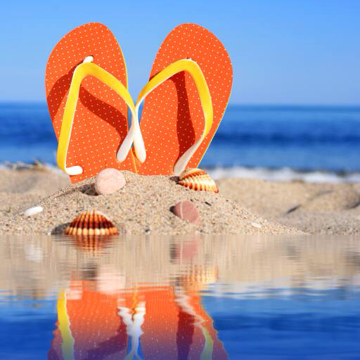 sandali, scarpe, scarpe, spiaggia, conchiglia, conchiglie, acqua, sabbia Fantasista