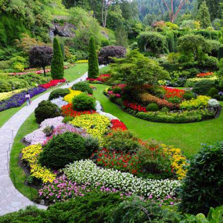 da giardino, fiori, colori, verde Photo168 - Dreamstime