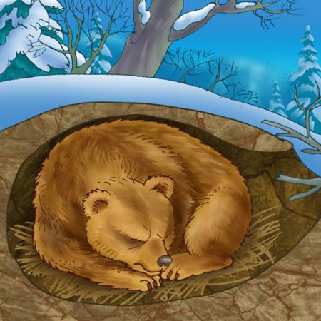 orso, inverno, sonno, freddo, natura Alexander Kukushkin - Dreamstime