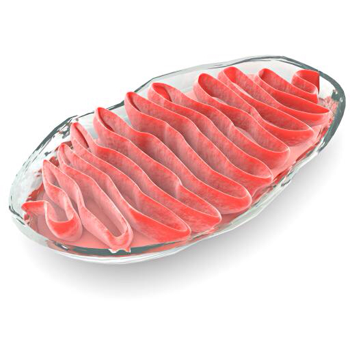 cellula, cellulare, rosso, carne, gelly, batteri Vampy1