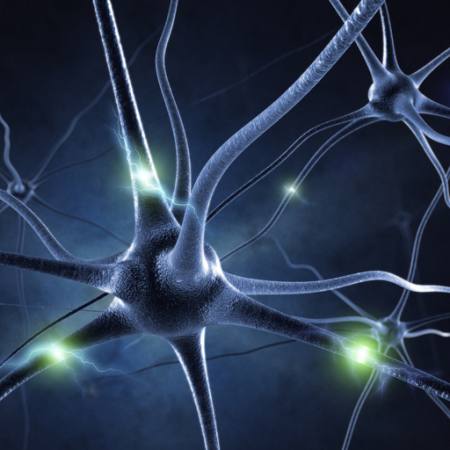 sinapsi, testa, neurone, connessioni Sashkinw - Dreamstime