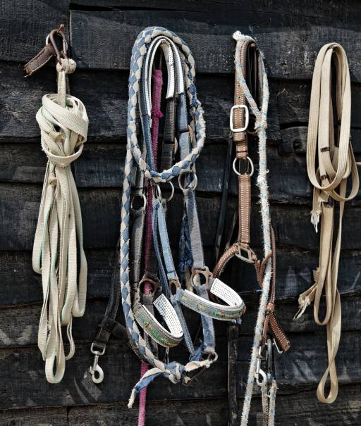 cavallo, corda, corde, oggetti Vladimir Lukovic (Radelukovic)