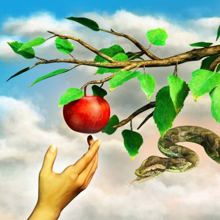 mela, il serpente, ramo, verde, foglie, mano Andreus - Dreamstime