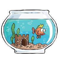 Pixwords L`immagine con pesce, ciotola, swin, acqua, castello di sabbia Dedmazay - Dreamstime