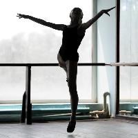 ballerino, ballerina, donna, ballo Danil Roudenko (Danr13)