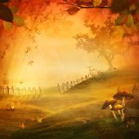 stagione, il fuoco, i funghi, campo, rosso, foglia, recinzione Mythja - Dreamstime