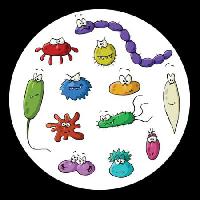 Pixwords L`immagine con insetti, microscopio, melma, virus Dedmazay - Dreamstime