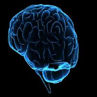 Pixwords L`immagine con di testa, uomo, donna, pensare, cervello Sebastian Kaulitzki - Dreamstime