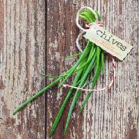 Pixwords L`immagine con erba cipollina, , pianta, verdura, ortaggi, etichetta, legno verde stockcreations