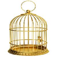 uccello, gabbia, oro, serratura Ayvan - Dreamstime