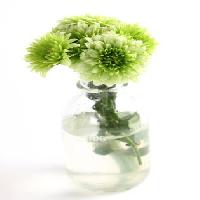 Pixwords L`immagine con pianta, fiore, verde, acqua, tubo, vaso Kerstin Aust - Dreamstime