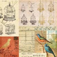 Pixwords L`immagine con gabbia, uccello, uccelli, disegno Jodielee