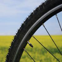 Pixwords L`immagine con bicicletta, ruota, verde, erba, campo, natura Leonidtit