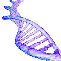 Pixwords L`immagine con adn, gene, umana, del sangue, malva Sebastian Kaulitzki - Dreamstime