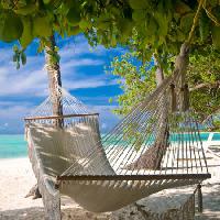 beaxch, resort, letto, rilassarsi, alberi, acqua, mare Micha Rosenwirth - Dreamstime