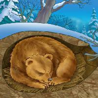 Pixwords L`immagine con orso, inverno, sonno, freddo, natura Alexander Kukushkin - Dreamstime