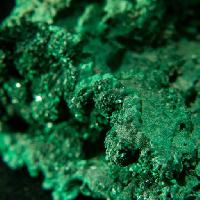 Pixwords L`immagine con verde, minerale, oggetto, pianta Farbled