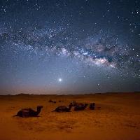 cielo, di notte, , deserto, i cammelli, le stelle, la luna Valentin Armianu (Asterixvs)