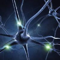 Pixwords L`immagine con sinapsi, testa, neurone, connessioni Sashkinw - Dreamstime