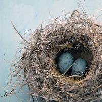 Pixwords L`immagine con nido, uovo, uccello, blu, casa, Antaratma Microstock Images © Elena Ray - Dreamstime