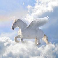 Pixwords L`immagine con cavallo, nubi, volare, ali Viktoria Makarova - Dreamstime