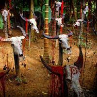 Pixwords L`immagine con testa, teste, cranio, teschi, sangue, alberi, animali Victor Zastol`skiy - Dreamstime
