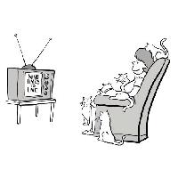 la televisione, nove vite, donna, gatti Andrewgenn