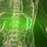 Pixwords L`immagine con organo, umano, uomo Sebastian Kaulitzki - Dreamstime