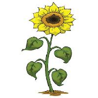 Pixwords L`immagine con giallo, crescere, fiore, verde, pianta Dedmazay - Dreamstime