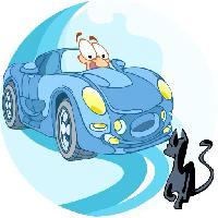 Pixwords L`immagine con auto, auto, gatto, animale Verzhh