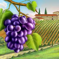 Pixwords L`immagine con uva, giardino, verde, foglia, vite, fattoria Andreus - Dreamstime