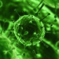 Pixwords L`immagine con batteri, virus, insetti, malattia, cellule Sebastian Kaulitzki - Dreamstime