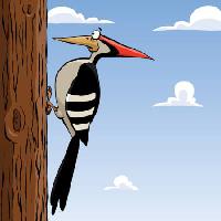 Pixwords L`immagine con legno, foresta cartone animato, uccello, uccello, cielo Dedmazay - Dreamstime